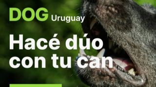 adiestradores caninos en montevideo DOG Uruguay - Hacé dúo con tu can -